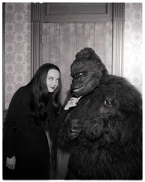 ADDAMS FAMILY, THE – THE COMPLETE SERIES + EXTRAS (ABC 1964-1966) RETAIL QUALITY!!! John Astin, Carolyn Jones, Jackie Coogan, Ted Cassidy, Blossom Rock, Lisa Loring, Ken Weatherwax, Felix Silla, Tony Magro - Image 7