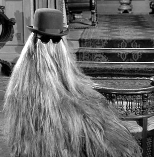 ADDAMS FAMILY, THE – THE COMPLETE SERIES + EXTRAS (ABC 1964-1966) RETAIL QUALITY!!! John Astin, Carolyn Jones, Jackie Coogan, Ted Cassidy, Blossom Rock, Lisa Loring, Ken Weatherwax, Felix Silla, Tony Magro - Image 9