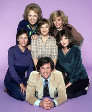 ANGIE – THE COMPLETE SERIES + BONUS (ABC 1979-80) RARE!!! HARD TO FIND!!! Donna Pescow, Robert Hays, Doris Roberts, Debralee Scott, Sharon Spelman, John Randolph, Tammy Lauren - Image 3