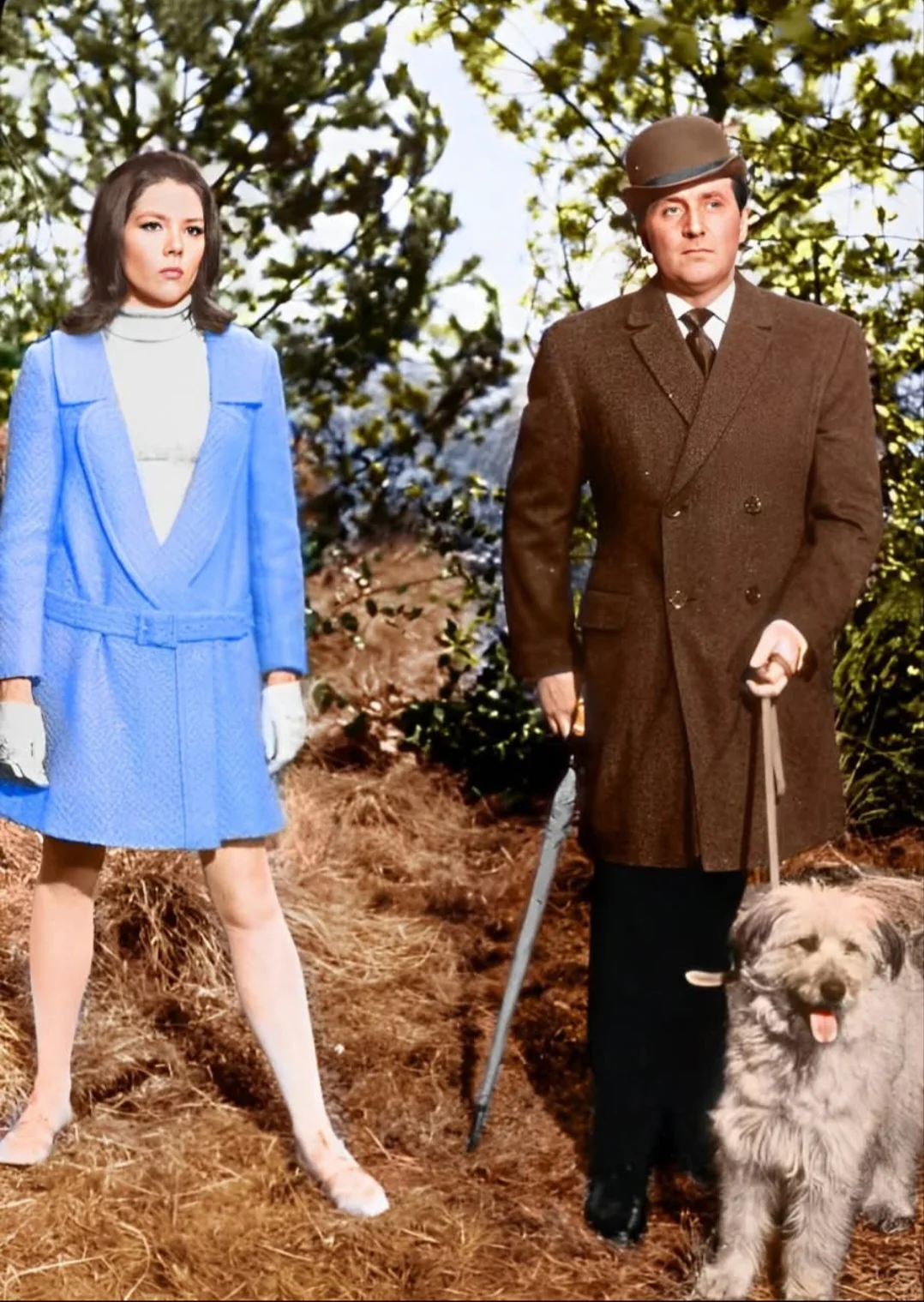 AVENGERS, THE (UK 1961-1969) RETAIL QUALITY!!! Patrick Macnee, Diana Rigg, Honor Blackman, Linda Thorson - Image 6