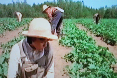 BEST BAD THING, THE (PBS-TVM 5/5/97) - Image 4