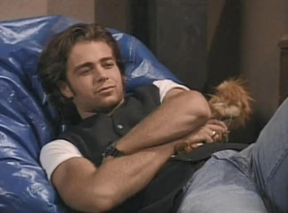 BROTHERLY LOVE - THE COMPLETE SERIES (NBC/WB 1995-97) VERY RARE!!! Joey Lawrence, Matthew Lawrence, and Andrew Lawrence, Liz Vassey, Melinda Culea, Michael McShane - Image 3