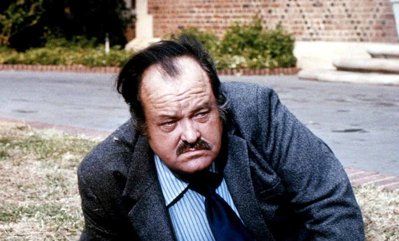 CANNON - THE COMPLETE SERIES + BONUS (CBS 1971-1976) RETAIL QUALITY!!! William Conrad - Image 2