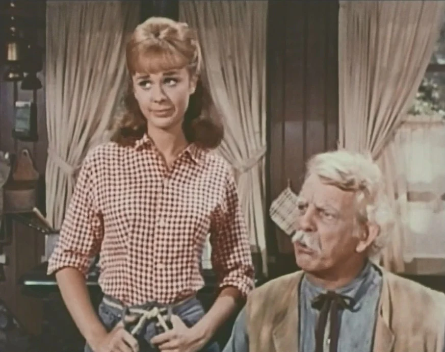 TAMMY - THE COMPLETE SERIES (ABC 1965-66) VERY RARE!!! Debbie Watson, Denver Pyle, Frank McGrath, Dorothy Green, Dennis Robertson, Donald Woods, George Furth, David Macklin, Linda Marshall - Image 13