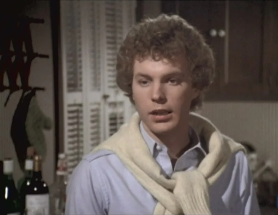 FAMILY - THE COMPLETE SERIES (ABC 1976-80) ALL 86 EPISODES! EXCELLENT QUALITY Sada Thompson, Kristy McNichol, Meredith Baxter-Birney, James Broderick, Quinn Cummings, Gary Frank - Image 10