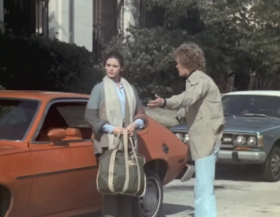 FAMILY - THE COMPLETE SERIES (ABC 1976-80) ALL 86 EPISODES! EXCELLENT QUALITY Sada Thompson, Kristy McNichol, Meredith Baxter-Birney, James Broderick, Quinn Cummings, Gary Frank - Image 11
