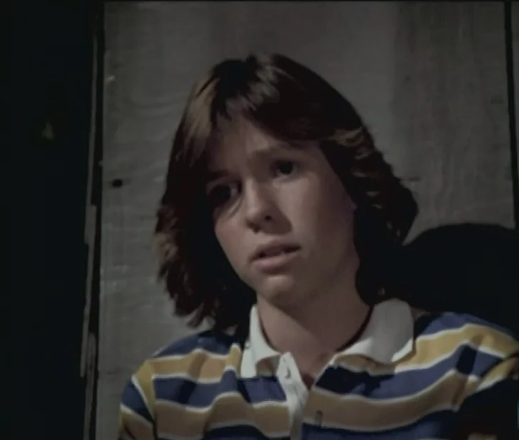 FAMILY - THE COMPLETE SERIES (ABC 1976-80) ALL 86 EPISODES! EXCELLENT QUALITY Sada Thompson, Kristy McNichol, Meredith Baxter-Birney, James Broderick, Quinn Cummings, Gary Frank - Image 12