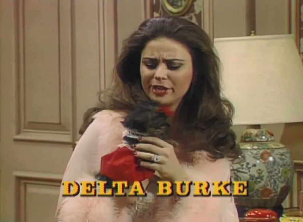 FILTHY RICH - THE COMPLETE SERIES (CBS 1982-83) RARE! Dixie Carter, Delta Burke, Ann Wedgeworth, Nedra Volz, Charles Frank, Michael Lombard, Slim Pickens, Forrest Tucker, Vernon Weddle - Image 4