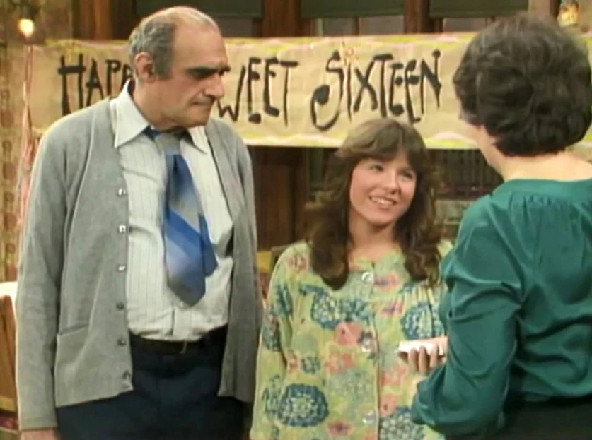FISH - THE COMPLETE SERIES (ABC 1977-78) RETAIL QUALITY!!! RARE!!! Abe Vigoda, Florence Stanley, Todd Bridges, Lenny Bari, John Cassisi, Sarah Natoli, Barry Gordon, Denise Miller - Image 10