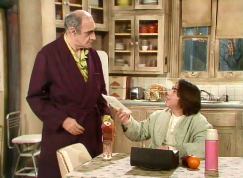 FISH - THE COMPLETE SERIES (ABC 1977-78) RETAIL QUALITY!!! RARE!!! Abe Vigoda, Florence Stanley, Todd Bridges, Lenny Bari, John Cassisi, Sarah Natoli, Barry Gordon, Denise Miller - Image 11