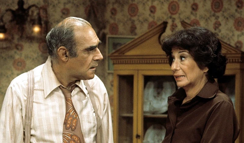 FISH - THE COMPLETE SERIES (ABC 1977-78) RETAIL QUALITY!!! RARE!!! Abe Vigoda, Florence Stanley, Todd Bridges, Lenny Bari, John Cassisi, Sarah Natoli, Barry Gordon, Denise Miller - Image 2