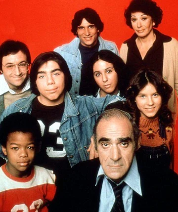 FISH - THE COMPLETE SERIES (ABC 1977-78) RETAIL QUALITY!!! RARE!!! Abe Vigoda, Florence Stanley, Todd Bridges, Lenny Bari, John Cassisi, Sarah Natoli, Barry Gordon, Denise Miller - Image 4