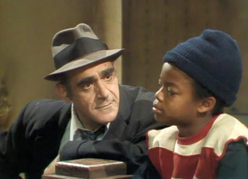 FISH - THE COMPLETE SERIES (ABC 1977-78) RETAIL QUALITY!!! RARE!!! Abe Vigoda, Florence Stanley, Todd Bridges, Lenny Bari, John Cassisi, Sarah Natoli, Barry Gordon, Denise Miller - Image 5