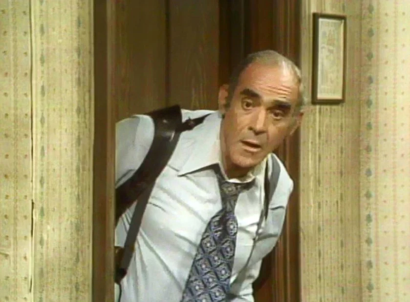 FISH - THE COMPLETE SERIES (ABC 1977-78) RETAIL QUALITY!!! RARE!!! Abe Vigoda, Florence Stanley, Todd Bridges, Lenny Bari, John Cassisi, Sarah Natoli, Barry Gordon, Denise Miller - Image 6