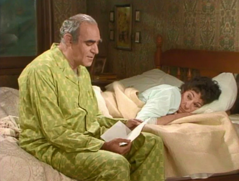 FISH - THE COMPLETE SERIES (ABC 1977-78) RETAIL QUALITY!!! RARE!!! Abe Vigoda, Florence Stanley, Todd Bridges, Lenny Bari, John Cassisi, Sarah Natoli, Barry Gordon, Denise Miller - Image 7