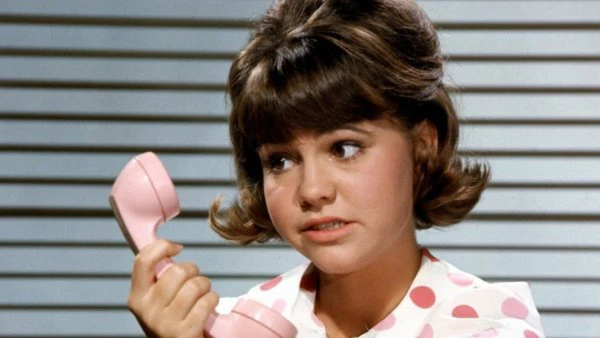 GIDGET - THE COMPLETE SERIES (ABC 1965-1966) EXCELLENT QUALITY!!! Sally Field, Don Porter, Pete Duel, Betty Conner, Lynette Winter, Stephen Mines - Image 2