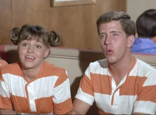 GIDGET - THE COMPLETE SERIES (ABC 1965-1966) EXCELLENT QUALITY!!! Sally Field, Don Porter, Pete Duel, Betty Conner, Lynette Winter, Stephen Mines - Image 4