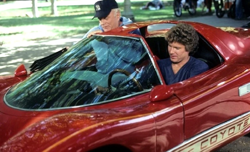 HARDCASTLE AND MCCORMICK - THE COMPLETE SERIES (ABC 1983-1986) Brian Keith, Daniel Hugh Kelly - Image 3