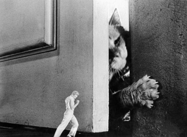 INCREDIBLE SHRINKING MAN, THE (1957) EXCELLENT QUALITY!!! Grant Williams, Randy Stuart, Paul Langton, Raymond Bailey, William Schallert - Image 5