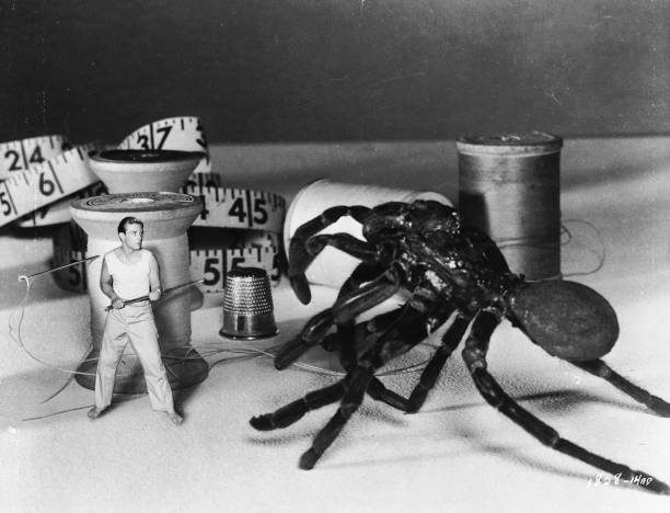 INCREDIBLE SHRINKING MAN, THE (1957) EXCELLENT QUALITY!!! Grant Williams, Randy Stuart, Paul Langton, Raymond Bailey, William Schallert - Image 6