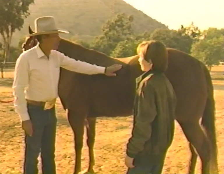 INTRODUCTION TO HORSEBACK RIDING AND HORSE CARE WITH STEFANIE POWERS (1989) VERY RARE! Stefanie Powers - Image 10