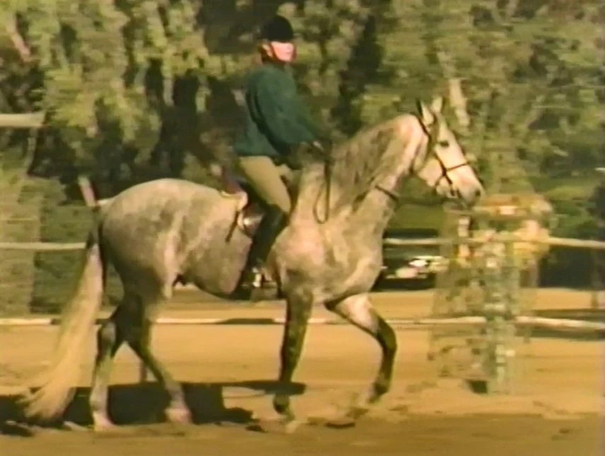 INTRODUCTION TO HORSEBACK RIDING AND HORSE CARE WITH STEFANIE POWERS (1989) VERY RARE! Stefanie Powers - Image 4