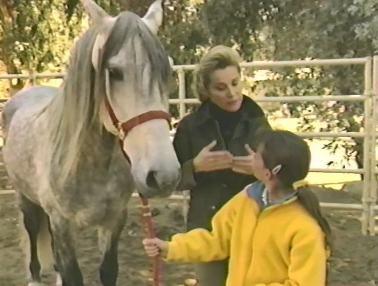 INTRODUCTION TO HORSEBACK RIDING AND HORSE CARE WITH STEFANIE POWERS (1989) VERY RARE! Stefanie Powers - Image 6