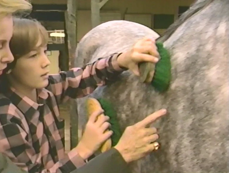 INTRODUCTION TO HORSEBACK RIDING AND HORSE CARE WITH STEFANIE POWERS (1989) VERY RARE! Stefanie Powers - Image 8