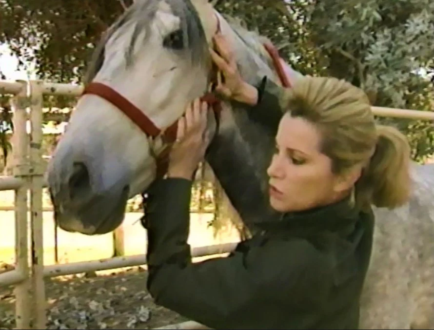 INTRODUCTION TO HORSEBACK RIDING AND HORSE CARE WITH STEFANIE POWERS (1989) VERY RARE! Stefanie Powers - Image 9