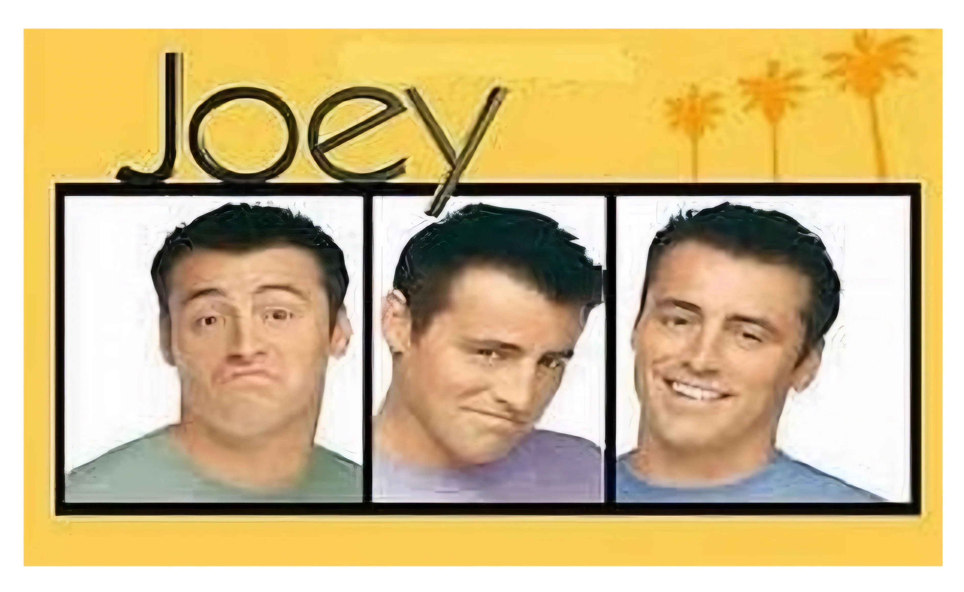 JOEY - THE COMPLETE SERIES (NBC 2004-2006) HARD TO FIND!!! Matt LeBlanc, Andrea Anders, Drea de Matteo, Paulo Costanzo, Jennifer Coolidge, Miguel A. Núñez Jr. - Image 9