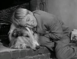 LASSIE UNLEASHED: 280 DOG YEARS IN TV + BONUS (ABC 12/29/94) VERY RARE!!! June Lockhart, Jon Provost, Tommy Rettig, Hugh Reilly, Joey D. Vieira, Henry Winkler, Dick Clark, Phyllis Diller, Dennis Franz, Charles Grodin, Dave Thomas, Barry Williams - Image 10