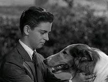 LASSIE UNLEASHED: 280 DOG YEARS IN TV + BONUS (ABC 12/29/94) VERY RARE!!! June Lockhart, Jon Provost, Tommy Rettig, Hugh Reilly, Joey D. Vieira, Henry Winkler, Dick Clark, Phyllis Diller, Dennis Franz, Charles Grodin, Dave Thomas, Barry Williams - Image 11