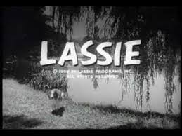 LASSIE UNLEASHED: 280 DOG YEARS IN TV + BONUS (ABC 12/29/94) VERY RARE!!! June Lockhart, Jon Provost, Tommy Rettig, Hugh Reilly, Joey D. Vieira, Henry Winkler, Dick Clark, Phyllis Diller, Dennis Franz, Charles Grodin, Dave Thomas, Barry Williams - Image 9