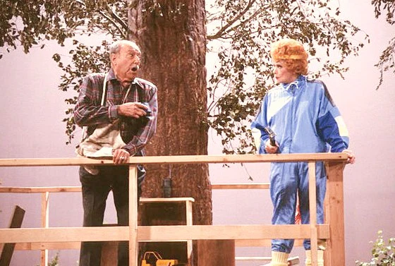 LIFE WITH LUCY – THE COMPLETE SERIES (ABC 1986) Lucille Ball, Gale Gordon, Ann Dusenberry, Larry Anderson, Jenny Lewis, Philip J. Amelio II, Donovan Scott - Image 8
