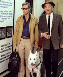 LONGSTREET - THE COMPLETE SERIES + PILOT MOVIE (ABC 1971-72) HARD TO FIND!!! James Fanciscus, Marlyn Mason, Peter Mark Richman, Bruce Lee, Ann Doran - Image 3