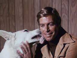 LONGSTREET - THE COMPLETE SERIES + PILOT MOVIE (ABC 1971-72) HARD TO FIND!!! James Fanciscus, Marlyn Mason, Peter Mark Richman, Bruce Lee, Ann Doran - Image 5
