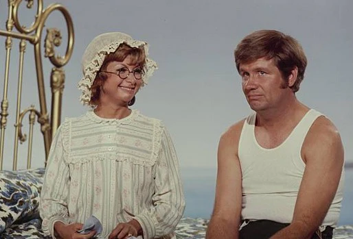 LOVE, AMERICAN STYLE - THE COLLECTION (ABC 1969-1974) RARE!!! Stuart Margolin, Phyllis Davis, James Hampton - Image 18