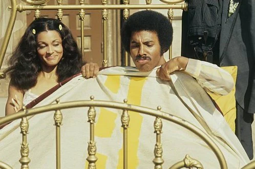 LOVE, AMERICAN STYLE - THE COLLECTION (ABC 1969-1974) RARE!!! Stuart Margolin, Phyllis Davis, James Hampton - Image 3