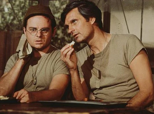 M*A*S*H - THE COMPLETE SERIES (CBS 1972-83) Alan Alda, Wayne Rogers, McLean Stevenson, Loretta Switt, Larry Linville, Gary Burghoff, Mike Farrell, Harry Morgan, Jamie Farr, Williams Christopher, David Ogden Stiers - Image 6