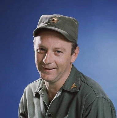 M*A*S*H - THE COMPLETE SERIES (CBS 1972-83) Alan Alda, Wayne Rogers, McLean Stevenson, Loretta Switt, Larry Linville, Gary Burghoff, Mike Farrell, Harry Morgan, Jamie Farr, Williams Christopher, David Ogden Stiers - Image 8
