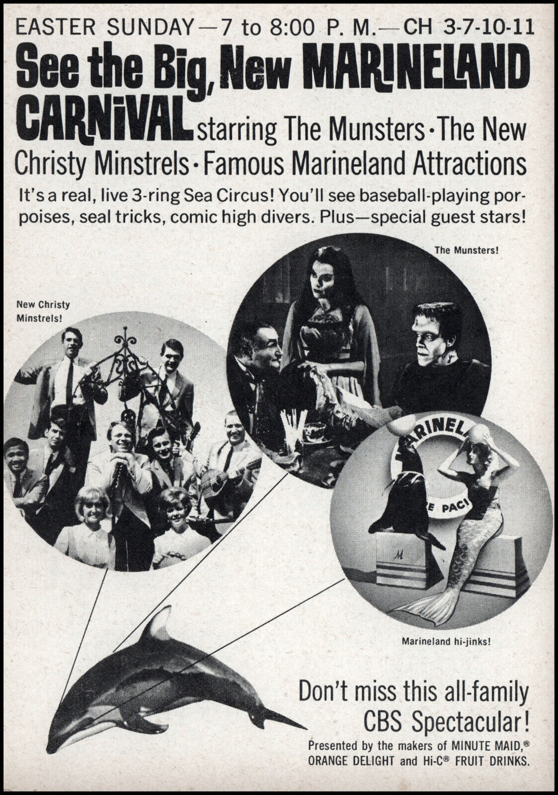 MARINELAND CARNIVAL WITH THE MUNSTERS (CBS 4/18/65) Fred Gwynne, Yvonne de Carlo, Al Lewis, Pat Priest, Butch Patrick, The New Christy Minstrels - Image 2