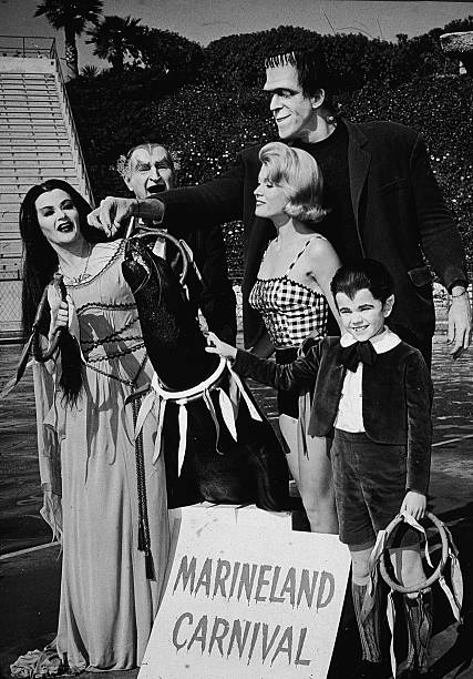 MARINELAND CARNIVAL WITH THE MUNSTERS (CBS 4/18/65) Fred Gwynne, Yvonne de Carlo, Al Lewis, Pat Priest, Butch Patrick, The New Christy Minstrels - Image 3
