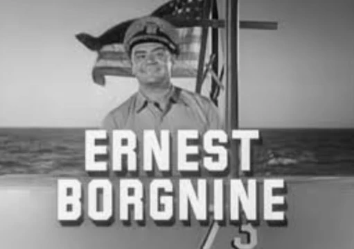 MCHALE’S NAVY – THE COMPETE SERIES + 2 BONUS MOVIES (ABC 1962-66) EXCELLENT QUALITY! Ernest Borgnine, Tim Conway, Joe Flynn, Gavin MacLeod, Carl Ballantine - Image 3