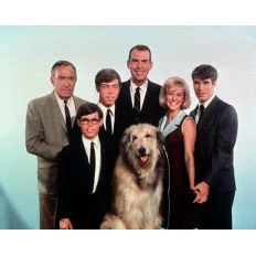 MY THREE SONS - THE COLLECTION (ABC/CBS 1960-72) Fred MacMurray, Tim Considine, Don Grady, Stanley Livingston, William Frawley, William Demarest, Barry Livingston, Tina Cole, Beverly Garland, Meredith MacRay, Ronne Troup, Dawn Lyn - Image 3
