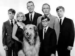 MY THREE SONS - THE COLLECTION (ABC/CBS 1960-72) Fred MacMurray, Tim Considine, Don Grady, Stanley Livingston, William Frawley, William Demarest, Barry Livingston, Tina Cole, Beverly Garland, Meredith MacRay, Ronne Troup, Dawn Lyn - Image 6