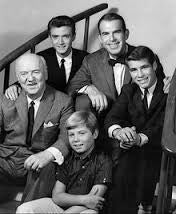 MY THREE SONS - THE COLLECTION (ABC/CBS 1960-72) Fred MacMurray, Tim Considine, Don Grady, Stanley Livingston, William Frawley, William Demarest, Barry Livingston, Tina Cole, Beverly Garland, Meredith MacRay, Ronne Troup, Dawn Lyn - Image 7