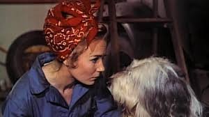 NANNY AND THE PROFESSOR - THE COMPLETE SERIES (ABC 1970-1972) Juliet Mills, Richard Long, David Doremus, Trent Lehman, Kim Richards - Image 11