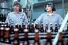 LAVERNE & SHIRLEY - THE COMPLETE SERIES (ABC 1976-83) EXCELLENT QUALITY! Penny Marshall, Cindy Williams, Michael McKean, David Lander, Eddie Mekka, Phil Foster, Betty Garrett - Image 3