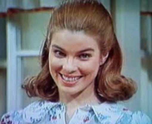 NEW ZOO REVUE – THE COMPLETE FIRST SEASON (1971) EXCELLENT QUALITY!!! Doug Momary, Emily Peden - Image 4