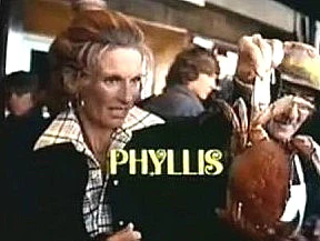PHYLLIS - THE COMPLETE SERIES (CBS 1975-1977) RARE!!! HARD TO FIND!!! Cloris Leachman, Lisa Gerritsen, Henry Jones, Jane Rose, Judith Lowry, Liz Torres, Richard Schaal, Barbara Colby